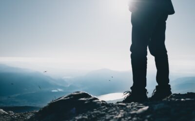 Our Ongoing Pursuit of Happiness and Joy 