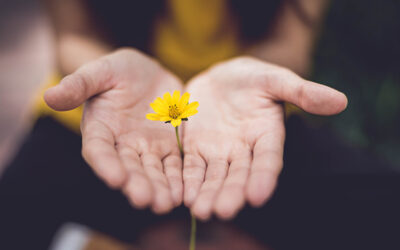 Healing Words for Troubled Times