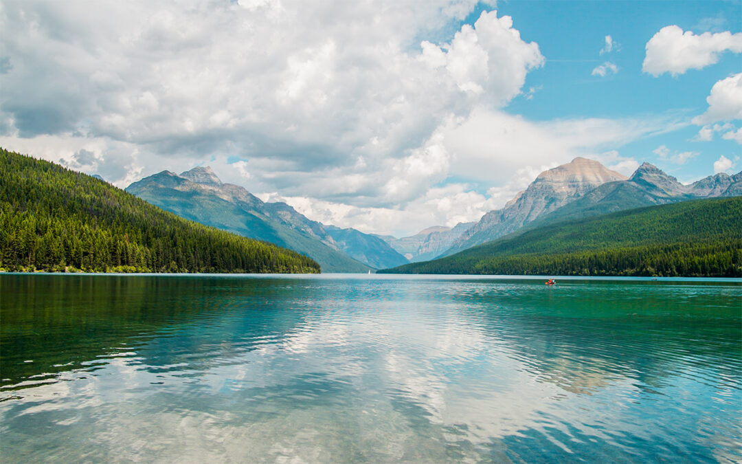 Reflecting on the Two Halves of Life