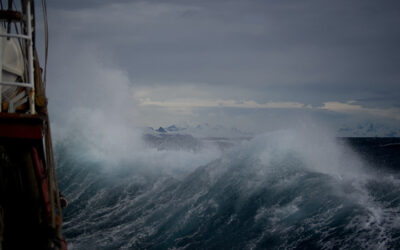 Surviving Life’s Storms with Faith & Courage