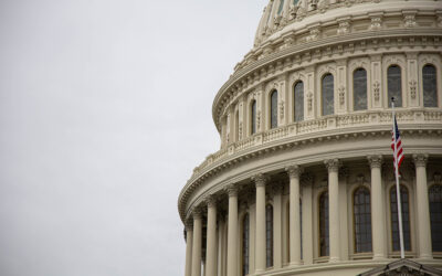 The Dangerous Idolatry of Political Ideology