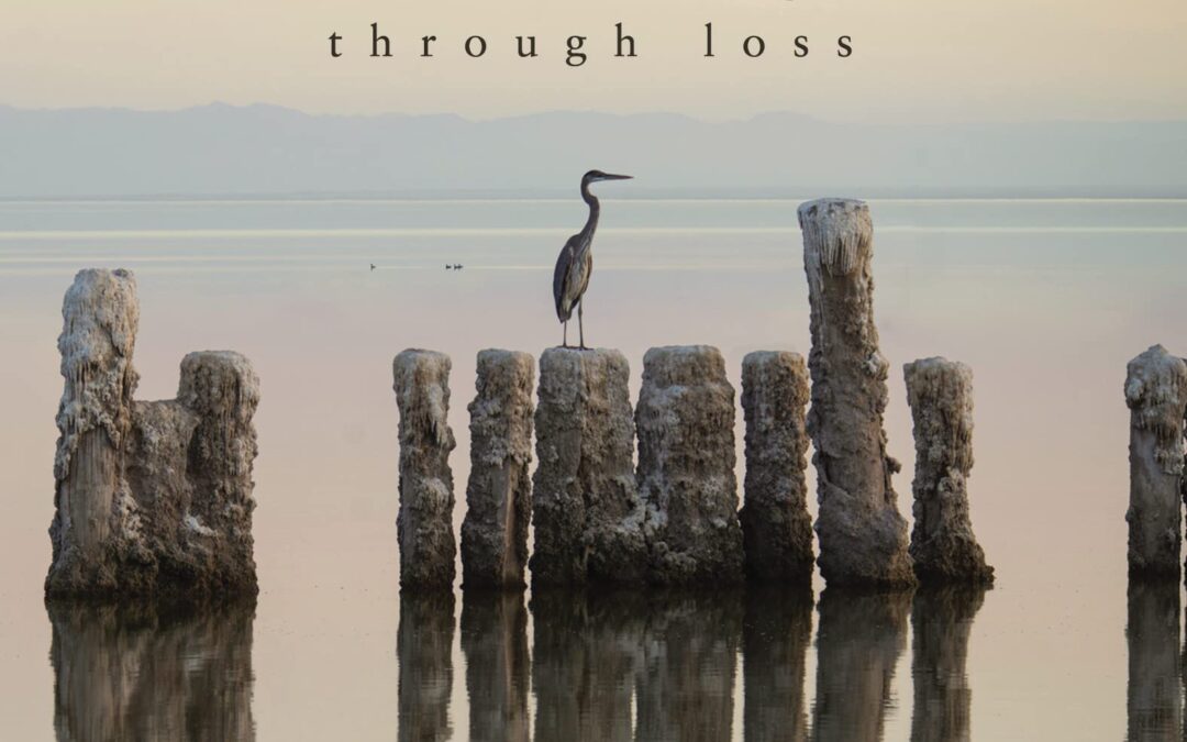 New Series on Healing