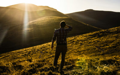 Our Search for Meaning