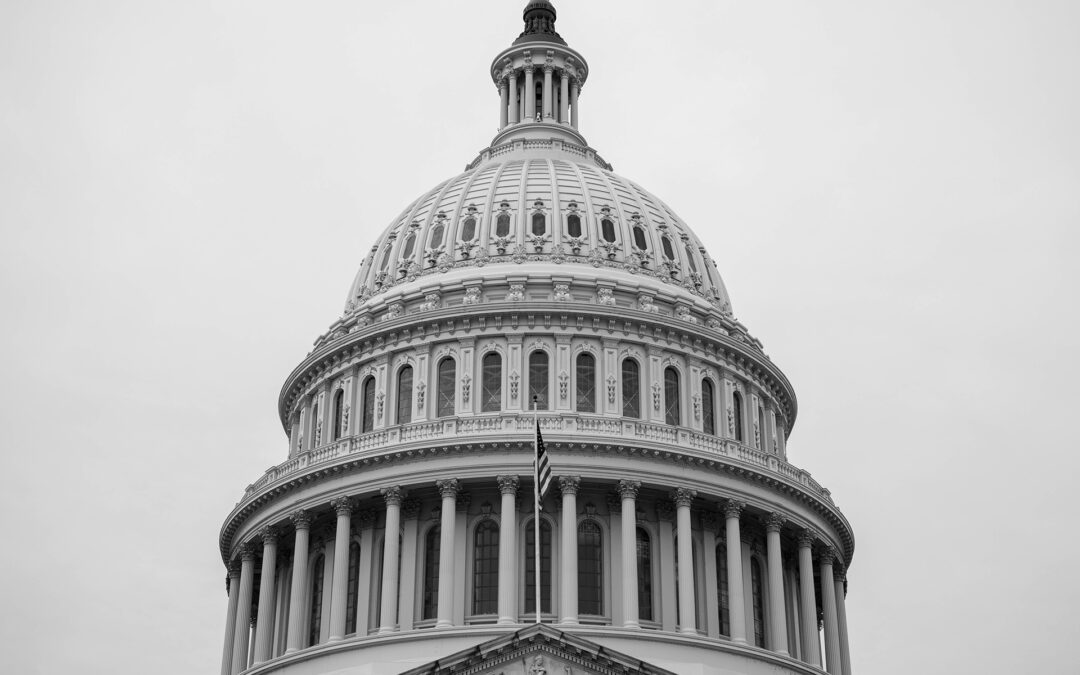 Political Violence is Never the Answer