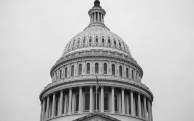 Political Violence is Never the Answer