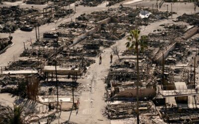 California Wildfires & Leadership Nominations